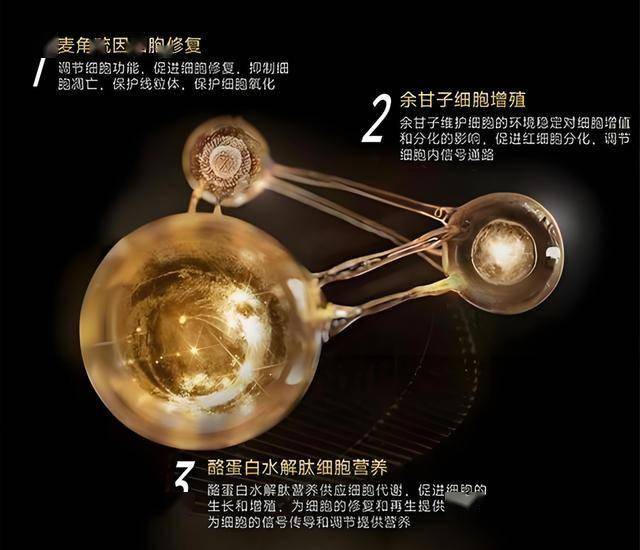 富拓外汇官网登录入口量化交易背后隐藏的优势，你知道吗？